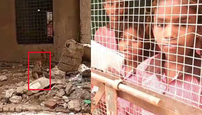 बंदरों का आतंक, बच्चों ने स्कूल आना किया बंद, यहां पड़ोसियों की मदद से आते हैं टीचर बंदरों का आतंक, बच्चों ने स्कूल आना किया बंद, यहां पड़ोसियों की मदद से आते हैं टीचर