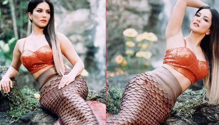 PHOTOS: जलपरी बनकर सनी लियोनी ने सोशल मीडिया पर ढाया कहर, फैंस कर रहे ऐसे कमेंट्स PHOTOS: जलपरी बनकर सनी लियोनी ने सोशल मीडिया पर ढाया कहर, फैंस कर रहे ऐसे कमेंट्स