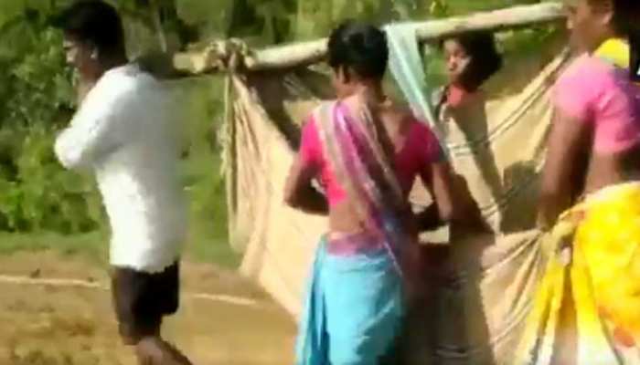 VIDEO: लकड़ी और कपड़े का बनाया स्ट्रेचर, 6km पैदल चलकर गर्भवती महिला को पहुंचाया अस्पताल VIDEO: लकड़ी और कपड़े का बनाया स्ट्रेचर, 6km पैदल चलकर गर्भवती महिला को पहुंचाया अस्पताल