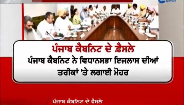Important changing decisions of punjab cabinet