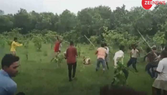 VIDEO : पीलीभीत में गांववालों ने बाघिन को डंडे से पीट-पीटकर मार डाला, 43 लोगों पर केस दर्ज VIDEO : पीलीभीत में गांववालों ने बाघिन को डंडे से पीट-पीटकर मार डाला, 43 लोगों पर केस दर्ज