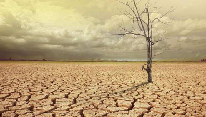 छत्तीसगढ़ में बने सूखे जैसे हालात, 18 जिलों में सामान्य से भी कम बारिश छत्तीसगढ़ में बने सूखे जैसे हालात, 18 जिलों में सामान्य से भी कम बारिश