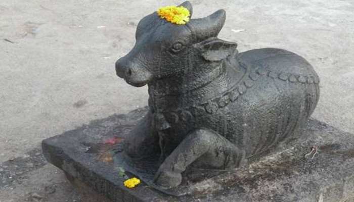 बिहारः शिव मंदिरों में स्थापित बसहा बैल के पानी पीने की उड़ी अफवाह और फिर... बिहारः शिव मंदिरों में स्थापित बसहा बैल के पानी पीने की उड़ी अफवाह और फिर...