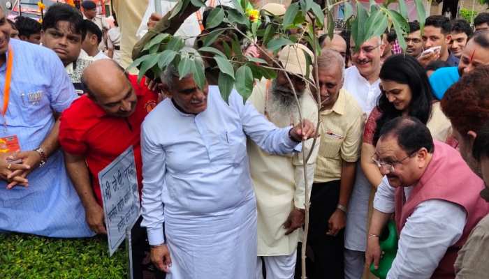 रोहतकः जेपी नड्डा ने पौधे लगाकर दिया 'ग्रीन इंडिया' का संदेश, स्वच्छता अभियान के तहत लोगों में बांटे डस्टबिन रोहतकः जेपी नड्डा ने पौधे लगाकर दिया 'ग्रीन इंडिया' का संदेश, स्वच्छता अभियान के तहत लोगों में बांटे डस्टबिन