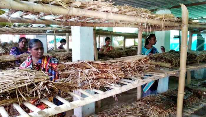 आपसी सामंजस्य ने बदल दी इस 'कुष्ठ रोगी' गांव की किस्मत, पहले भीख मांग करते थे गुजारा आपसी सामंजस्य ने बदल दी इस 'कुष्ठ रोगी' गांव की किस्मत, पहले भीख मांग करते थे गुजारा