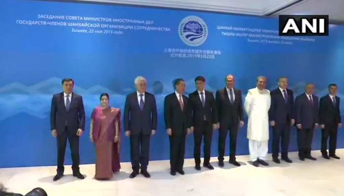 सुषमा की इस तस्वीर को दुनिया ने किया था सलाम, वैश्विक मंच पर दिखा था नारी सशक्तिकरण