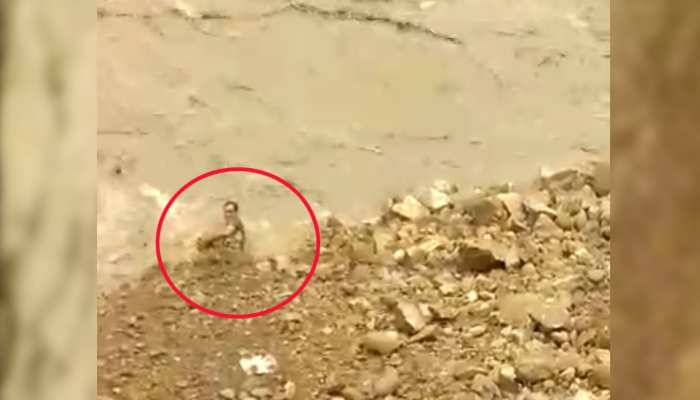 श्रीनगर: बाइक समेत अलकनंदा में डूब गया युवक और VIDEO बनाते रह गए लोग श्रीनगर: बाइक समेत अलकनंदा में डूब गया युवक और VIDEO बनाते रह गए लोग