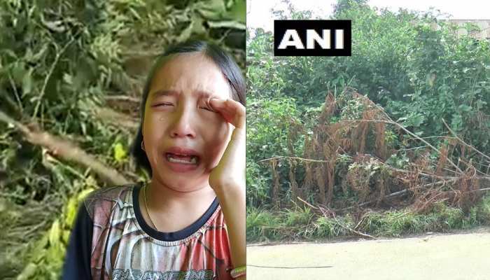 PICS: पेड़ कटा तो फूट-फूटकर रोई बच्ची, वीडियो देख CM बिरेन ने बनाया 'ग्रीन एंबेसडर'