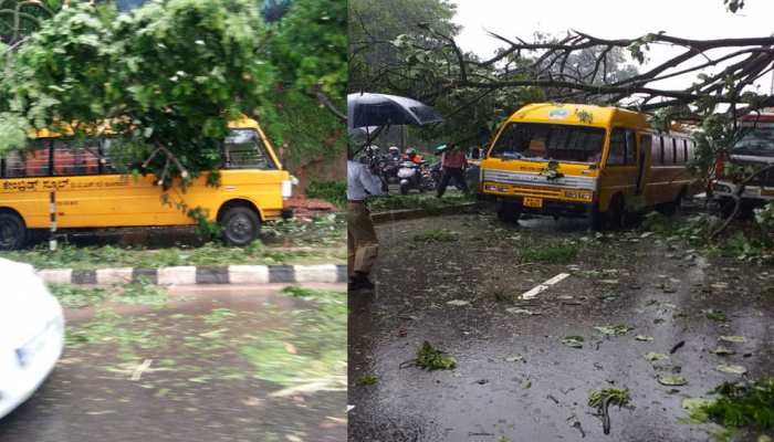 मंगलुरु : छात्रों से भरी स्कूल बस पर गिरा विशाल पेड़, बाल-बाल बचे 17 बच्चे मंगलुरु : छात्रों से भरी स्कूल बस पर गिरा विशाल पेड़, बाल-बाल बचे 17 बच्चे