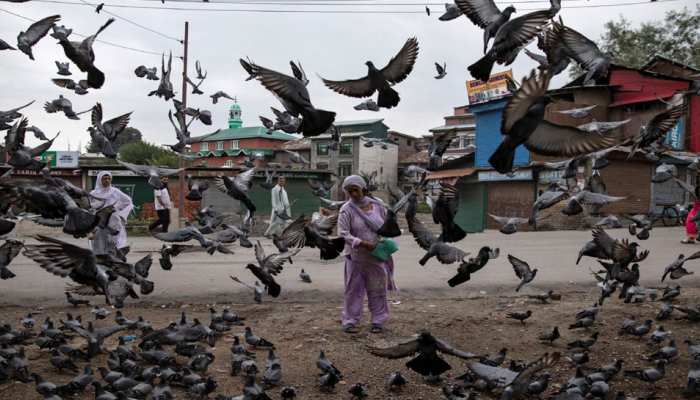 जम्मू-कश्मीर में कल से शुरू हो सकते हैं लैंडलाइन फोन, 19 से खुलेंगे स्कूल-कॉलेज : सूत्र जम्मू-कश्मीर में कल से शुरू हो सकते हैं लैंडलाइन फोन, 19 से खुलेंगे स्कूल-कॉलेज : सूत्र