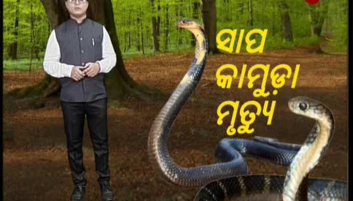Snakebite deaths increasing in odisha
