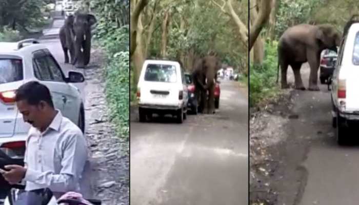 बाढ़ के कहर से सड़कों पर गजराज का पहरा, खौफ में लगता है घंटो जाम, आदमी परेशान बाढ़ के कहर से सड़कों पर गजराज का पहरा, खौफ में लगता है घंटो जाम, आदमी परेशान