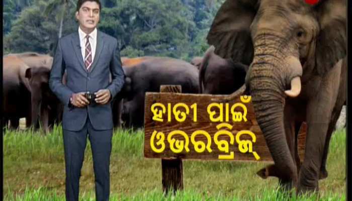F & E Dept. proposes Sub-Way at elephant crossing zone || Odisha