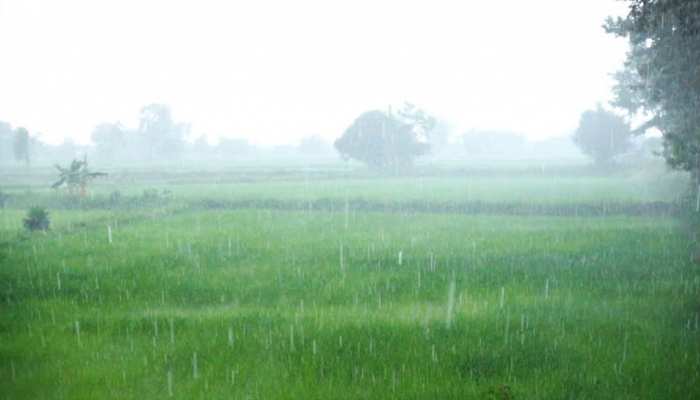 मानसून में देरी से बढ़ेगा रुई का उत्पादन, सोयाबीन-धान और दालों को नुकसान संभव मानसून में देरी से बढ़ेगा रुई का उत्पादन, सोयाबीन-धान और दालों को नुकसान संभव
