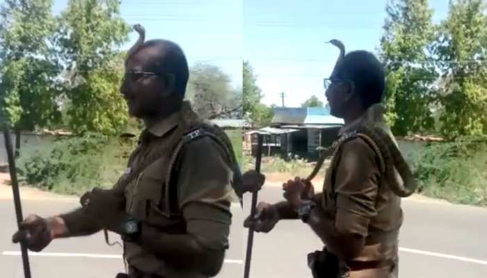 VIDEO: पेड़ से लटक रहा था सांप, पुलिसकर्मी ने पूंछ से पकड़ा तो सिर पर जा बैठा और फिर... VIDEO: पेड़ से लटक रहा था सांप, पुलिसकर्मी ने पूंछ से पकड़ा तो सिर पर जा बैठा और फिर...