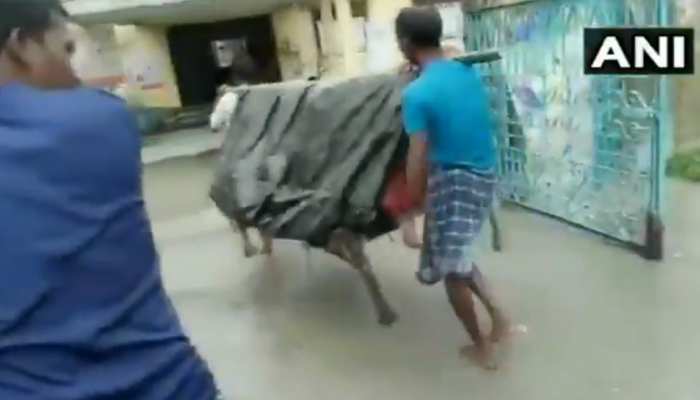 VIDEO: चारपाई के 'स्‍ट्रेचर' पर गर्भवती को 5 Km लादकर अस्‍पताल ले गए लोग