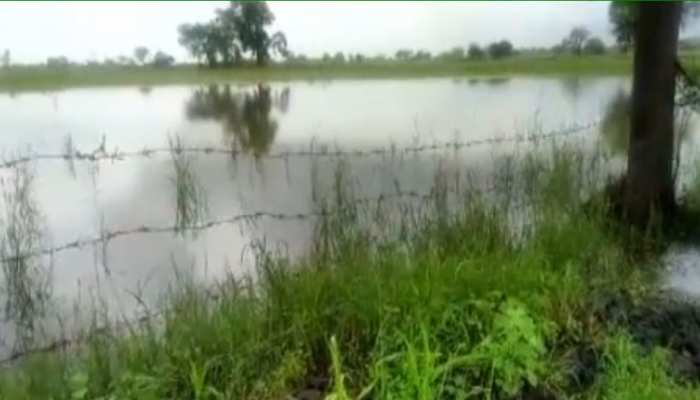 राजस्थान: मंदी की मार के बीच बारिश में बर्बाद हुई किसानों की फसलें राजस्थान: मंदी की मार के बीच बारिश में बर्बाद हुई किसानों की फसलें