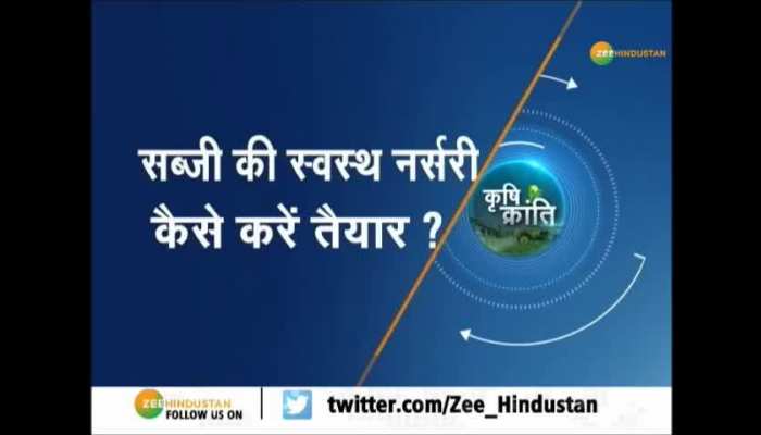 Krishi Kranti: TIPS FOR HEALTHY SEEDLINGS