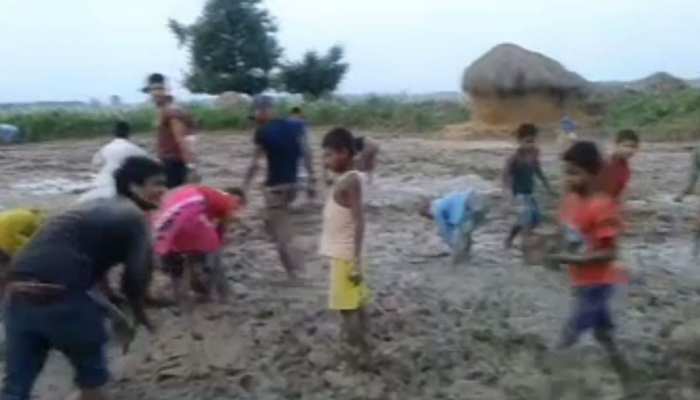 किशनगंज: खेत में जुताई में मिले ईस्ट इंडिया कंपनी के चांदी के सिक्के, लूटने के लिए उमड़ी भीड़ किशनगंज: खेत में जुताई में मिले ईस्ट इंडिया कंपनी के चांदी के सिक्के, लूटने के लिए उमड़ी भीड़
