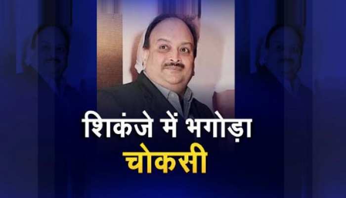 शिकंजे में भगोड़ा मेहुल चोकसी, जल्द भारत की जेल में होगा बंद! शिकंजे में भगोड़ा मेहुल चोकसी, जल्द भारत की जेल में होगा बंद!