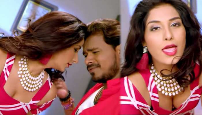 इंटरनेट पर फिर से छाया भोजपुरी एक्ट्रेस पूनम दुबे का यह VIDEO इंटरनेट पर फिर से छाया भोजपुरी एक्ट्रेस पूनम दुबे का यह VIDEO