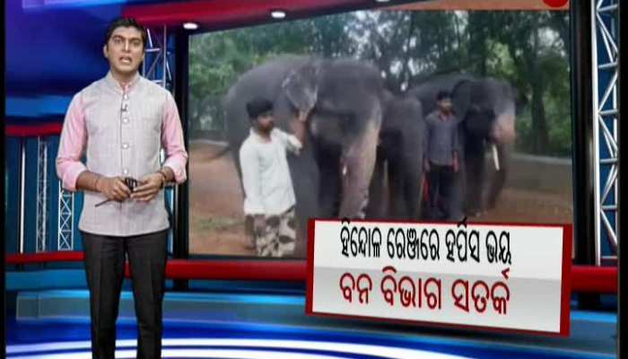 Herpes terror for Forest Department