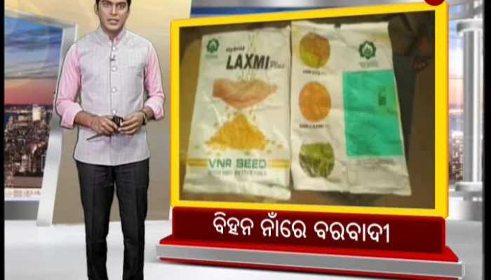 Hybrid Farming, loss for farmers