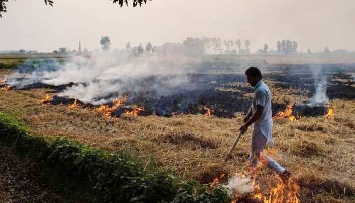 पंजाब में पराली जलाने के खिलाफ सरकार का बड़ा कदम, 22 सीनियर IAS अधिकारी रखेंगे नजर पंजाब में पराली जलाने के खिलाफ सरकार का बड़ा कदम, 22 सीनियर IAS अधिकारी रखेंगे नजर