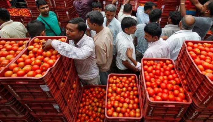 प्याज के बाद टमाटर हुआ 'लाल', दिल्ली-मुंबई में 80 रुपये तक हुआ दाम प्याज के बाद टमाटर हुआ 'लाल', दिल्ली-मुंबई में 80 रुपये तक हुआ दाम