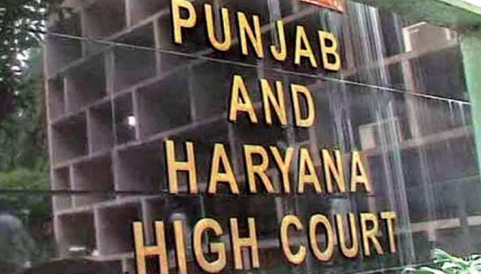 तलाक और पति की मौत के बाद घरेलू हिंसा का केस करना कानून का दुरुपयोग: हाईकोर्ट तलाक और पति की मौत के बाद घरेलू हिंसा का केस करना कानून का दुरुपयोग: हाईकोर्ट