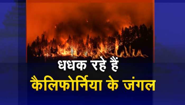 कैलिफोर्निया के जंगलों में आग! अबतक 7 हजार 5 सौ 42 एकड़ का इलाका जलकर 'राख' कैलिफोर्निया के जंगलों में आग! अबतक 7 हजार 5 सौ 42 एकड़ का इलाका जलकर 'राख'
