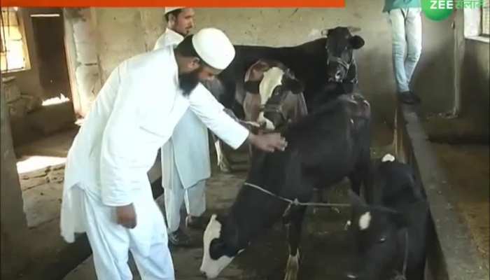 gaushala at the madrasa