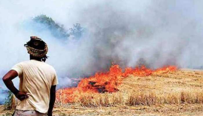 पंजाब में पराली जलाने के मामले 45 फीसदी बढ़े: रिमोट सेंटर के आंकड़े पंजाब में पराली जलाने के मामले 45 फीसदी बढ़े: रिमोट सेंटर के आंकड़े