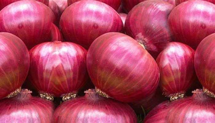 30 रुपये किलो से भी कम मिलेगी प्याज, सस्ते दाम पर यहां से उठाएं फायदा 30 रुपये किलो से भी कम मिलेगी प्याज, सस्ते दाम पर यहां से उठाएं फायदा