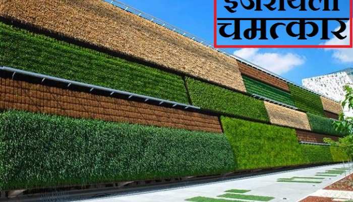 24 भारतीय किसानों की इजरायल में ट्रेनिंग! जानें- क्यों आधुनिक खेती का KING है ये देश? 24 भारतीय किसानों की इजरायल में ट्रेनिंग! जानें- क्यों आधुनिक खेती का KING है ये देश?