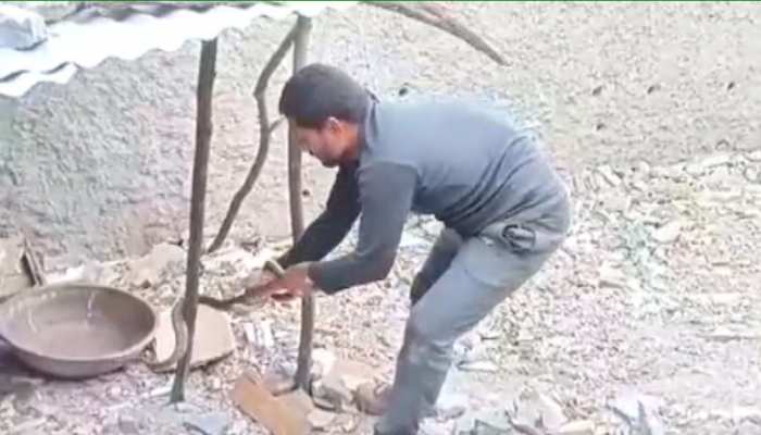 चित्तौड़गढ़ का ये शख्स है खतरों का खिलाड़ी, सांपों को भी लगता है इससे डर चित्तौड़गढ़ का ये शख्स है खतरों का खिलाड़ी, सांपों को भी लगता है इससे डर