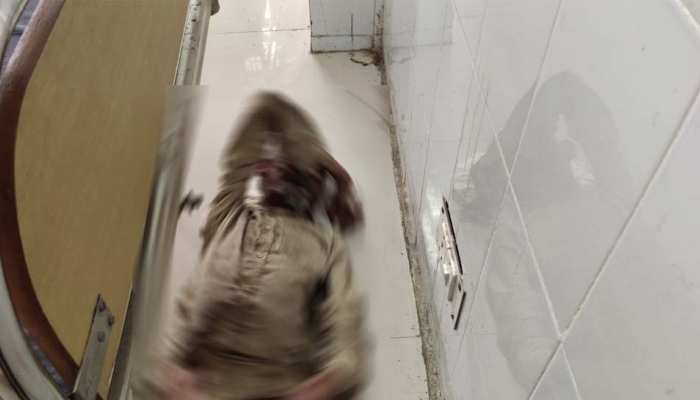 बलरामपुर के अस्पताल का बेरहम चेहरा, मरीज को 14 दिन जमीन पर सुलाया, पर इलाज न किया बलरामपुर के अस्पताल का बेरहम चेहरा, मरीज को 14 दिन जमीन पर सुलाया, पर इलाज न किया