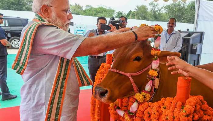 मोदी राज में गोधन से मालामाल हुआ देश, लेकिन चिंता का एक कारण भी है मौजूद मोदी राज में गोधन से मालामाल हुआ देश, लेकिन चिंता का एक कारण भी है मौजूद