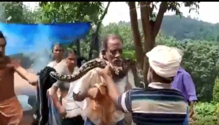 VIDEO: सफाई के काम में लगा था मनरेगा मजदूर, अचानक अजगर ने जकड़ ली गर्दन और... VIDEO: सफाई के काम में लगा था मनरेगा मजदूर, अचानक अजगर ने जकड़ ली गर्दन और...