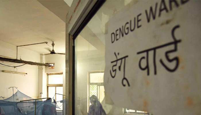बिहार: सरकार ने डेंगू के कारण मौत से किया इंकार, सफाई में कहा कुछ ऐसा बिहार: सरकार ने डेंगू के कारण मौत से किया इंकार, सफाई में कहा कुछ ऐसा