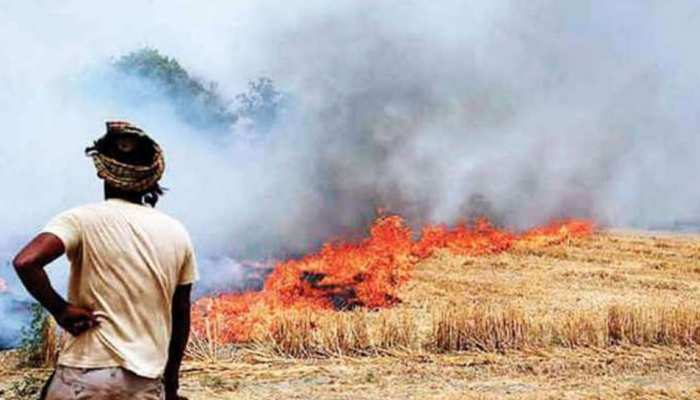 पराली जलाने पर पूरी तरह लगाएं रोक, राज्य सरकारें उठाएं हर मुमकिन कदम: हाईकोर्ट पराली जलाने पर पूरी तरह लगाएं रोक, राज्य सरकारें उठाएं हर मुमकिन कदम: हाईकोर्ट