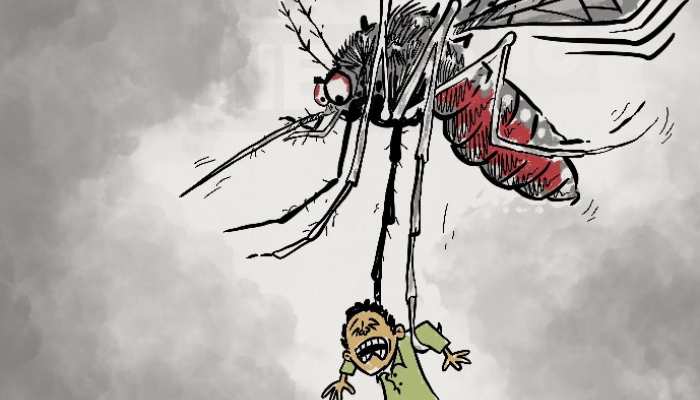पटना में बढ़ रहे डेंगू मरीज, सरकारी तंत्र के खिलाफ फूटा युवाओं का गुस्सा पटना में बढ़ रहे डेंगू मरीज, सरकारी तंत्र के खिलाफ फूटा युवाओं का गुस्सा