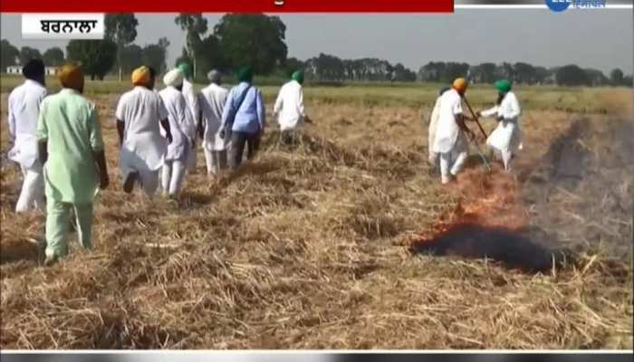 Stubble burning in barnala