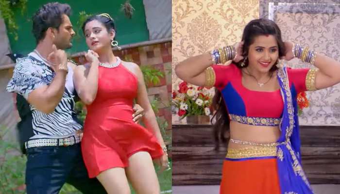 खेसारीलाल ने इंटरनेट पर मचाया कोहराम, 24 घंटे में 50 लाख बार देखा गया यह VIDEO खेसारीलाल ने इंटरनेट पर मचाया कोहराम, 24 घंटे में 50 लाख बार देखा गया यह VIDEO
