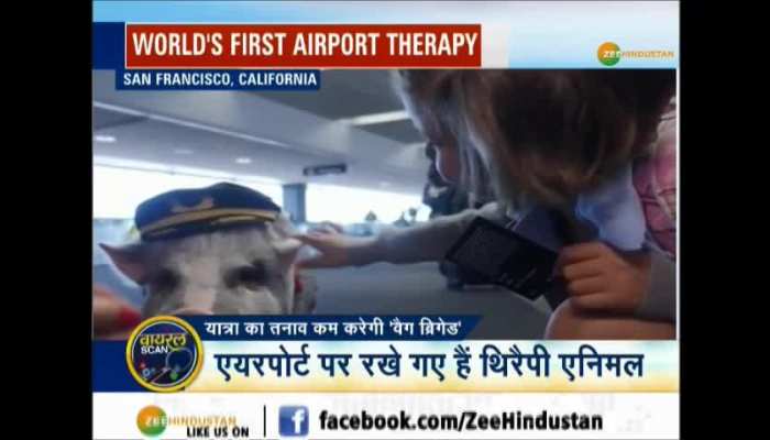 World's first airport therapy