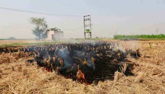 UP: पराली जलाने वाले 10 किसानों के खिलाफ दर्ज हुई FIR, लगा 35 हजार का जुर्माना UP: पराली जलाने वाले 10 किसानों के खिलाफ दर्ज हुई FIR, लगा 35 हजार का जुर्माना