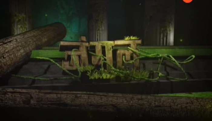 There is so much special for you in today's jungle safari in jungal14112019