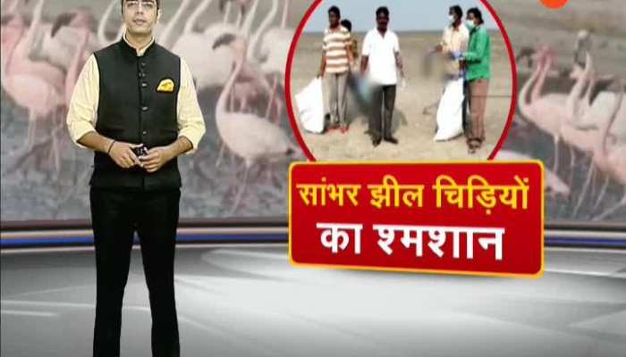 you are watching apno rajasthan at 01.00 pm on zee rajasthan15112019