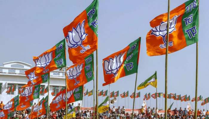 झारखंड चुनाव: BJP के अपने ही दे रहे हैं चुनौती, वोटों के बिखराव को कैसे रोक पाएगी पार्टी? झारखंड चुनाव: BJP के अपने ही दे रहे हैं चुनौती, वोटों के बिखराव को कैसे रोक पाएगी पार्टी?
