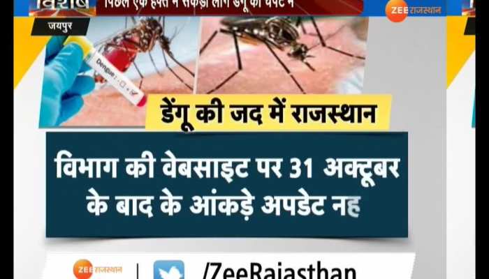 Dengue deaths so far this year in government figures 12 In Rajasthan